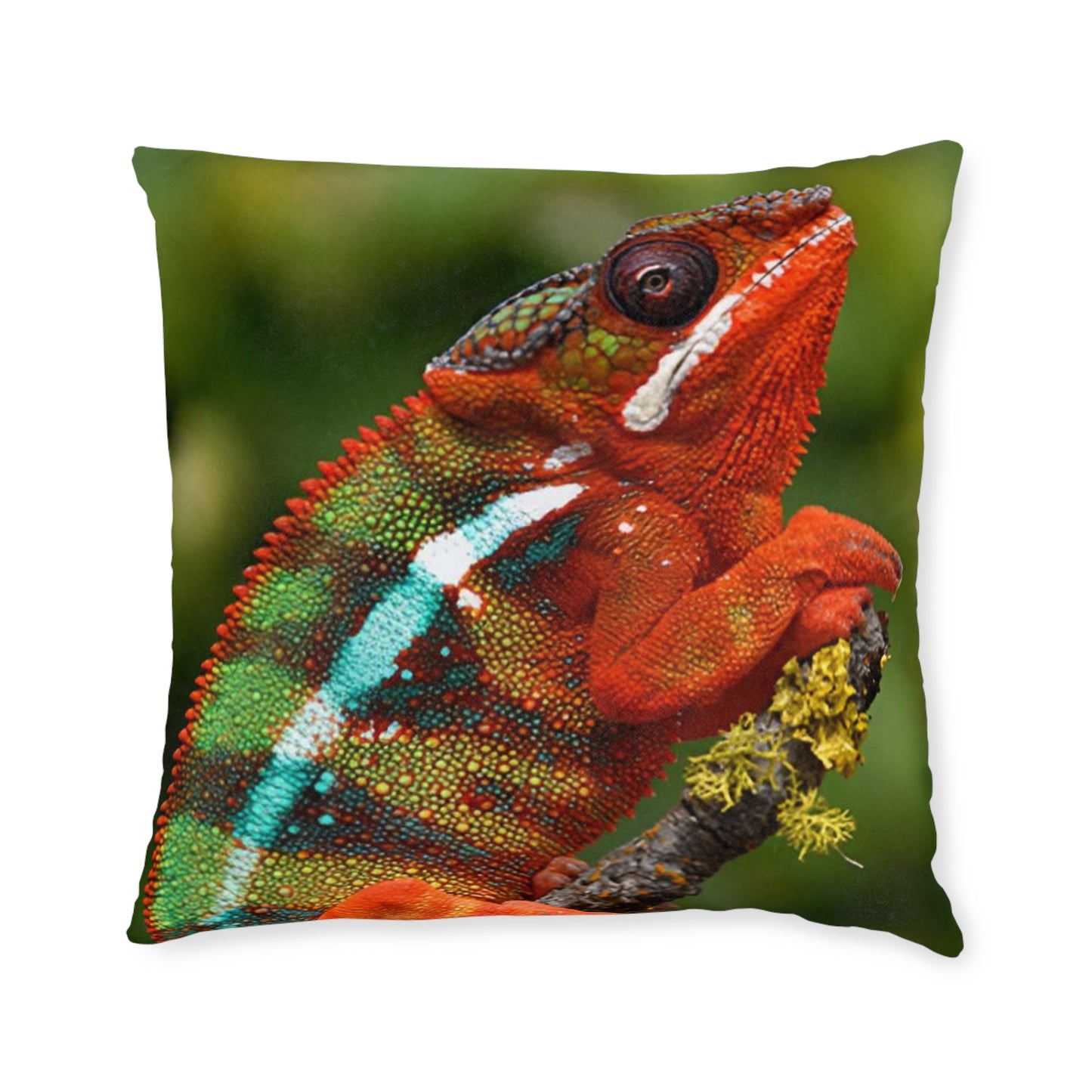 Chameleon