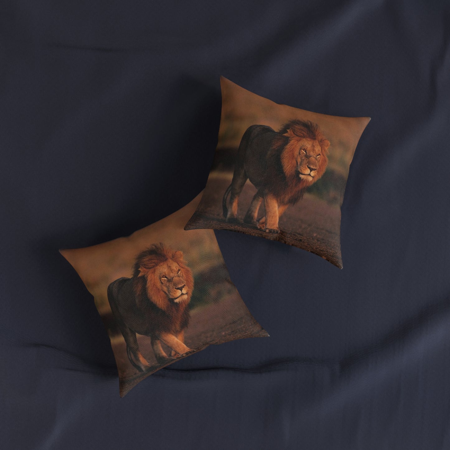 Lion Male