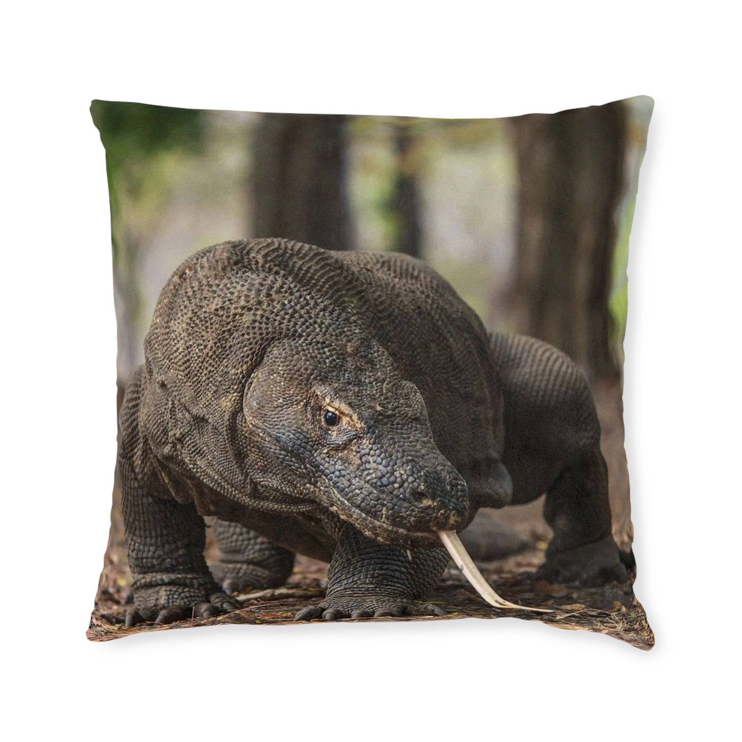 Komodo Dragon 2