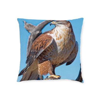 Hawk