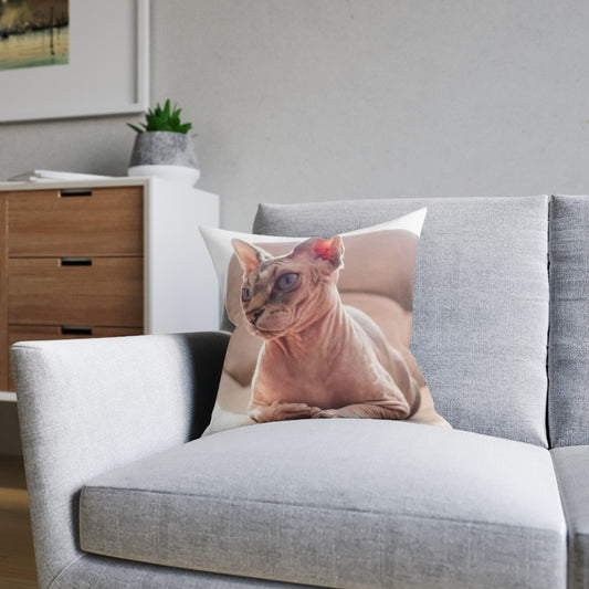 Hairless Cat
