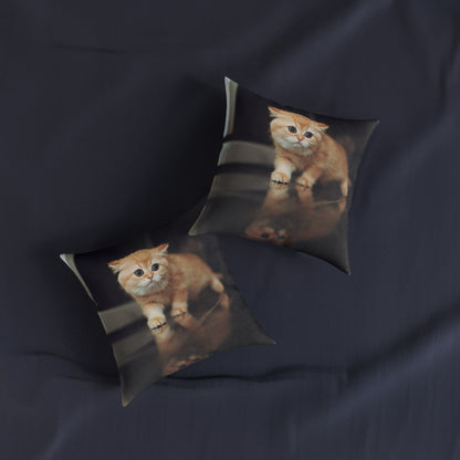 Kitten