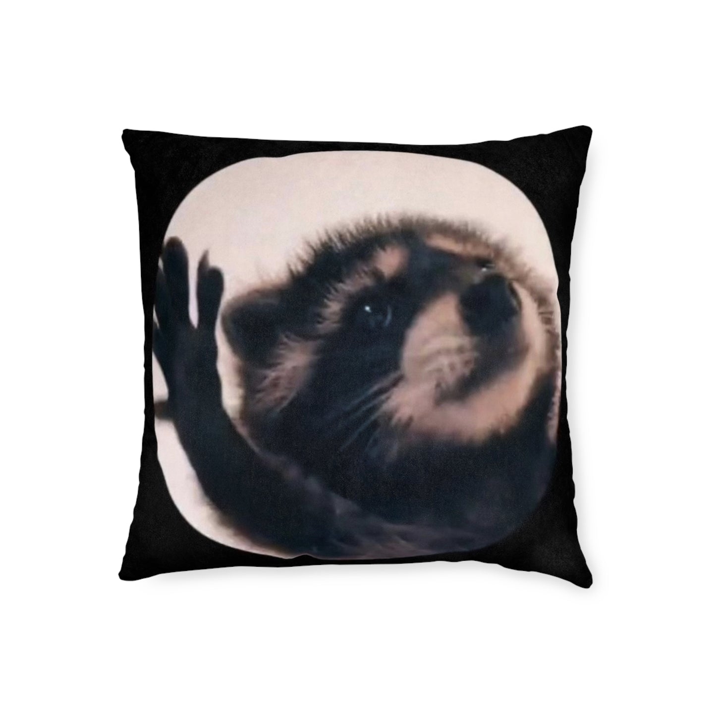 Pedro The Racoon