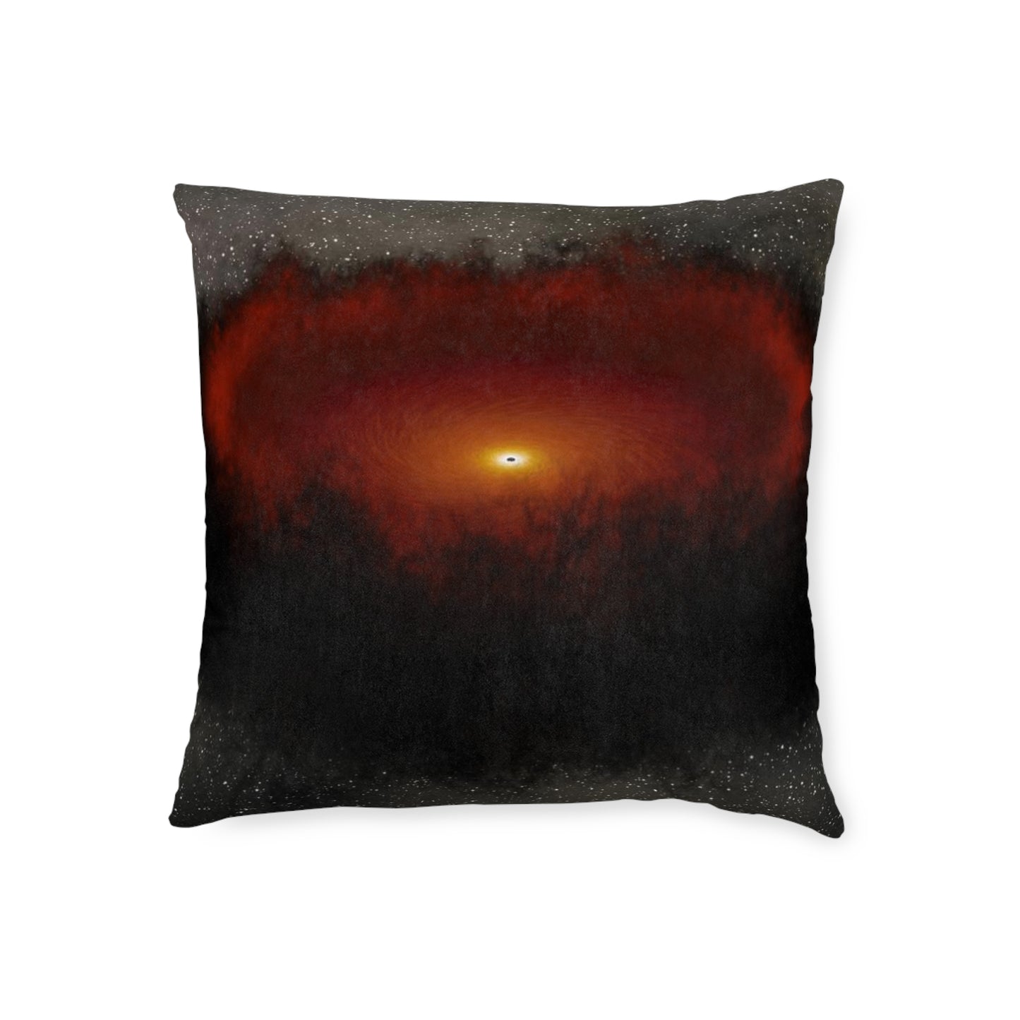 Black Hole Echo Mapping