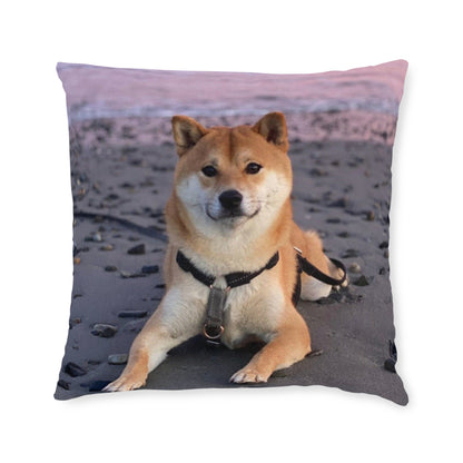 Shiba Inu Dog