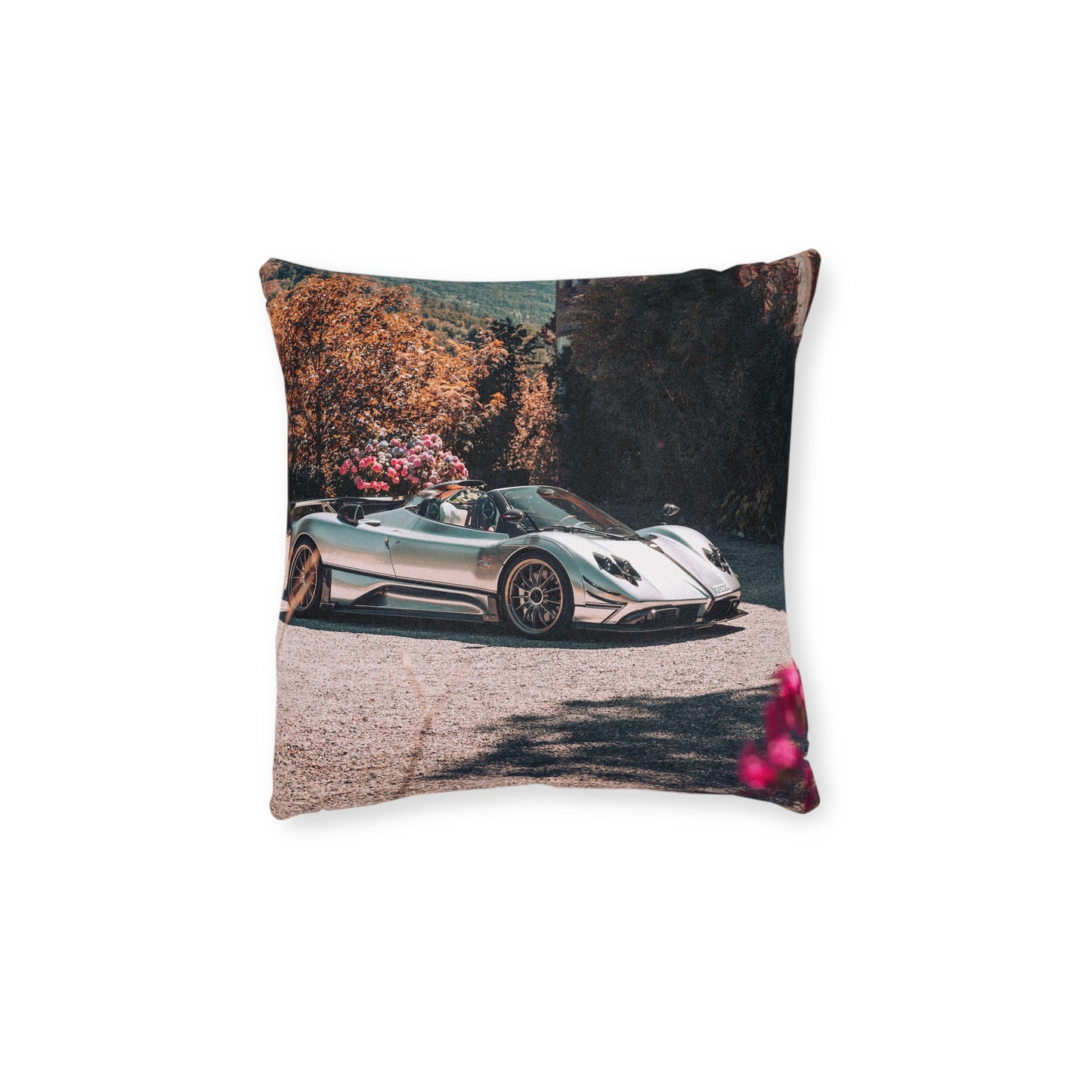 Pagani Zonda Roadster