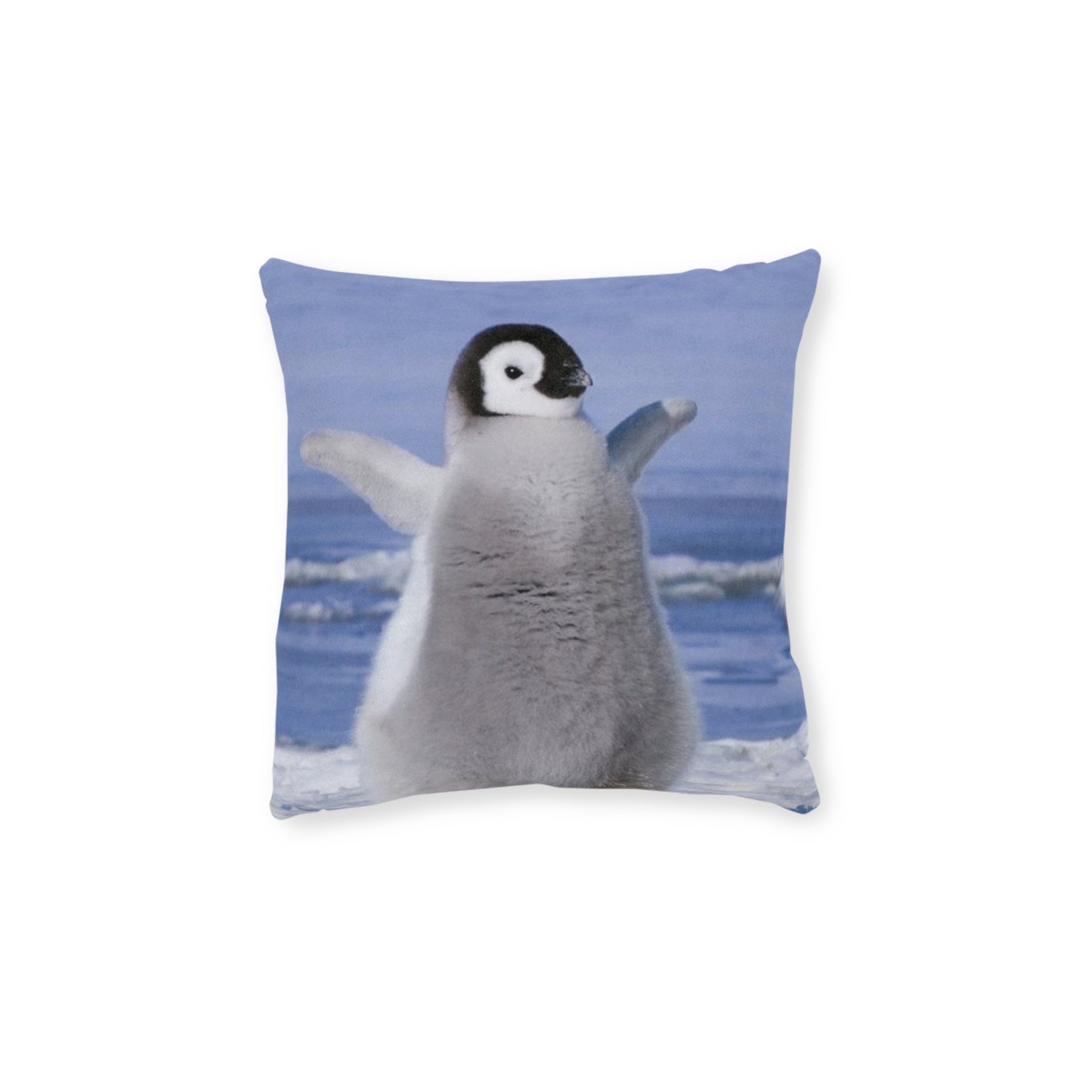 Baby Penguin