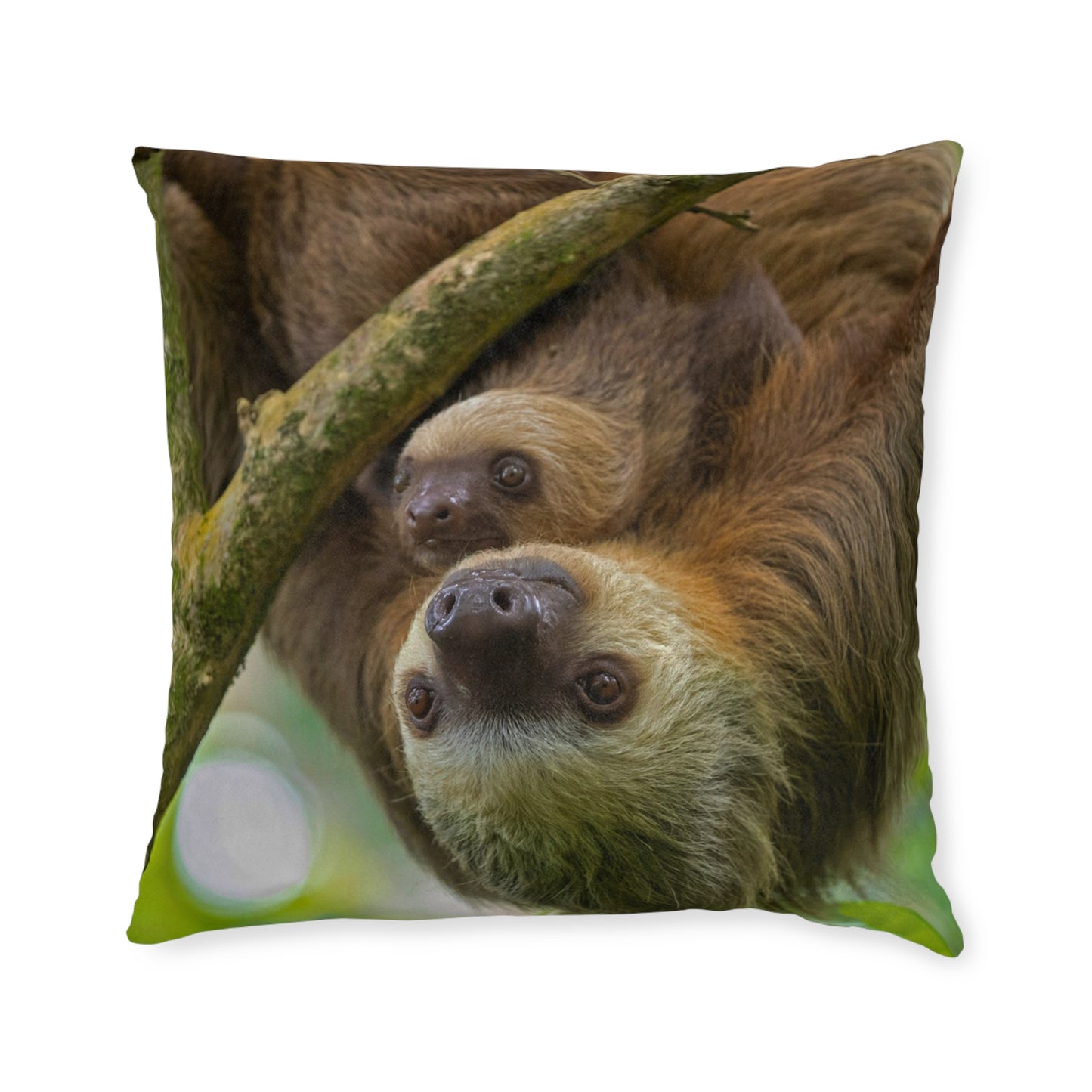 Sloth
