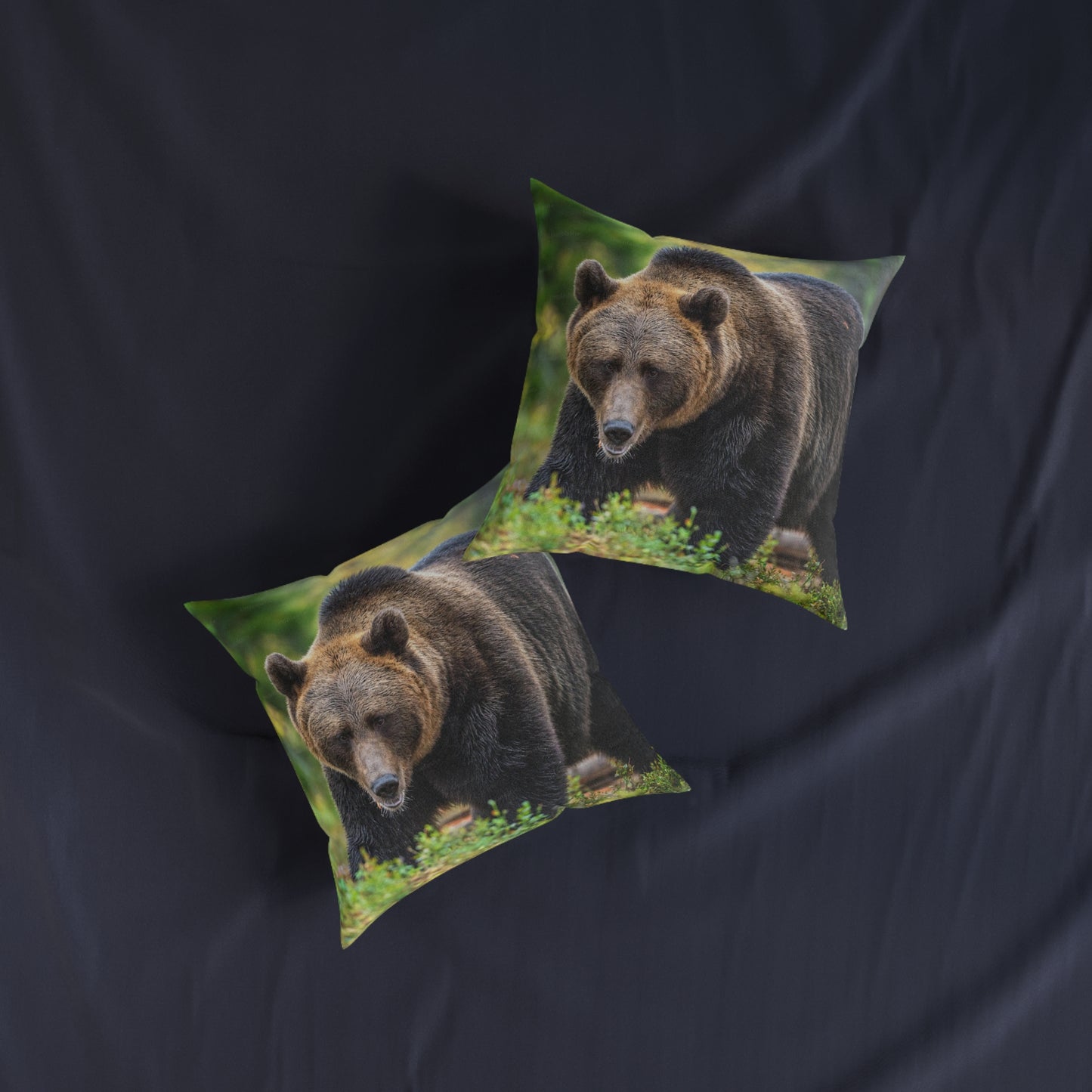 Brown Bear