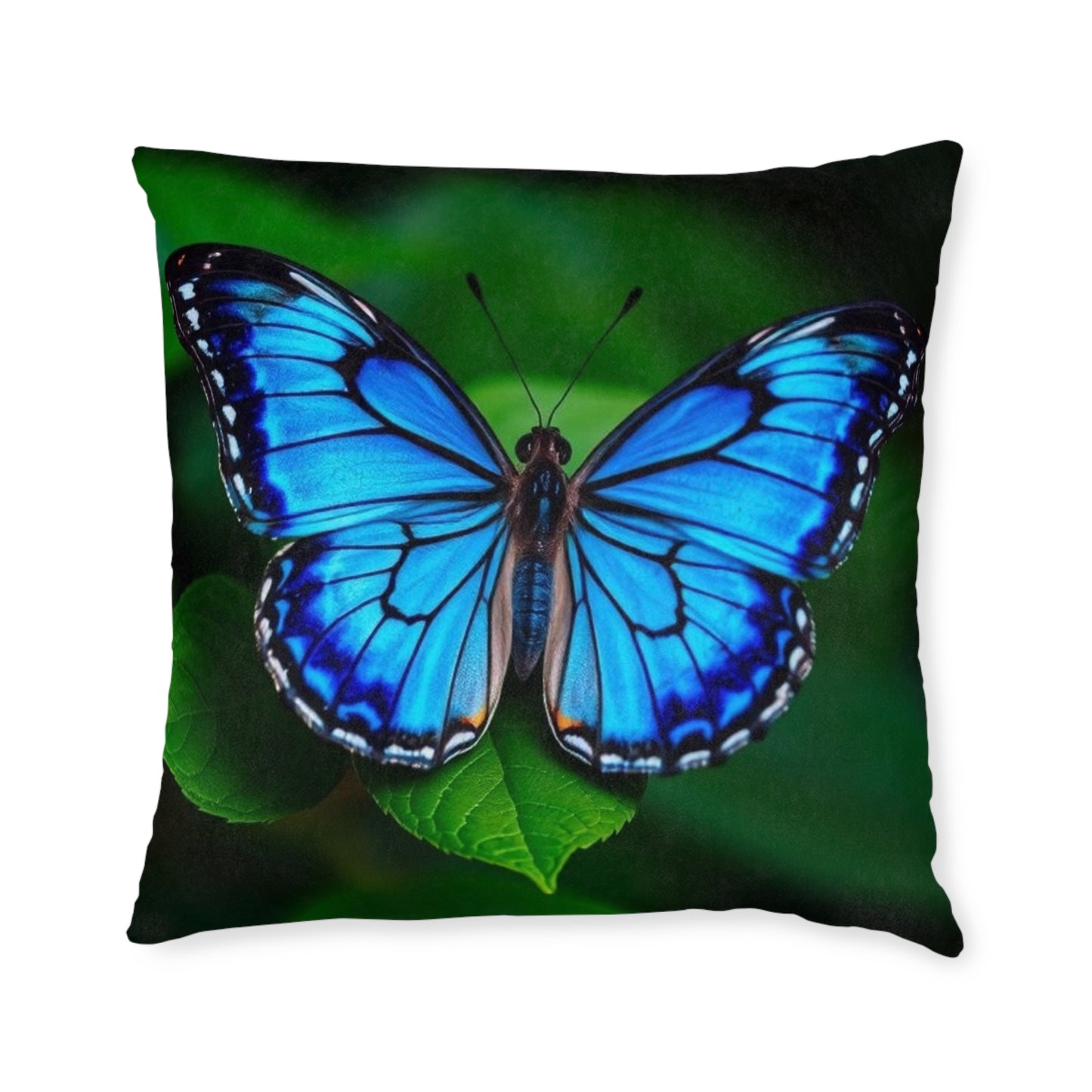 Butterfly Blue