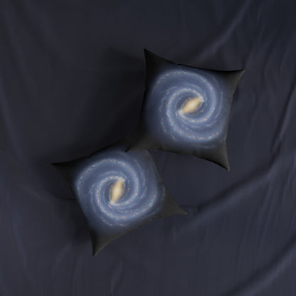 The Milky Way Galaxy