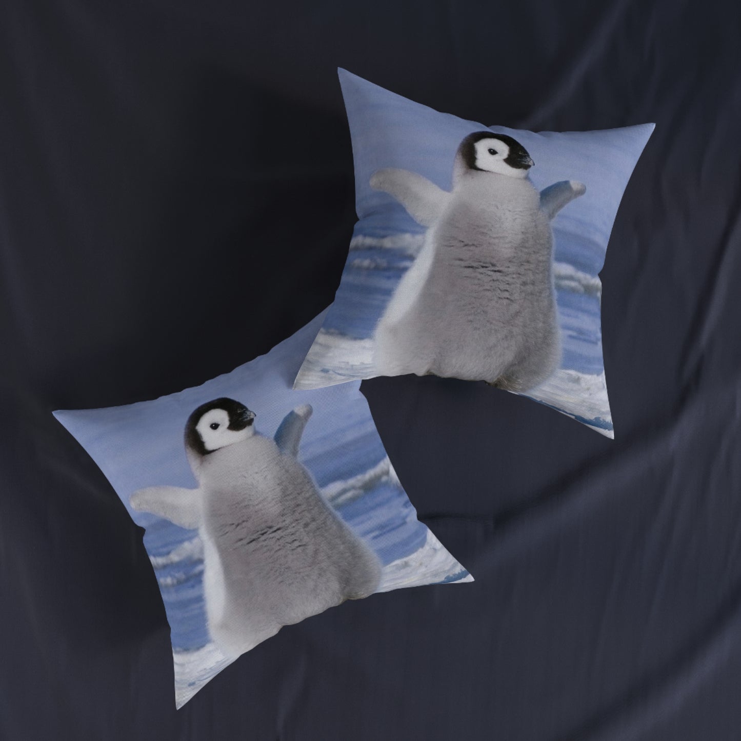 Baby Penguin