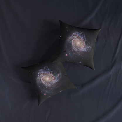 Virgo Supercluster