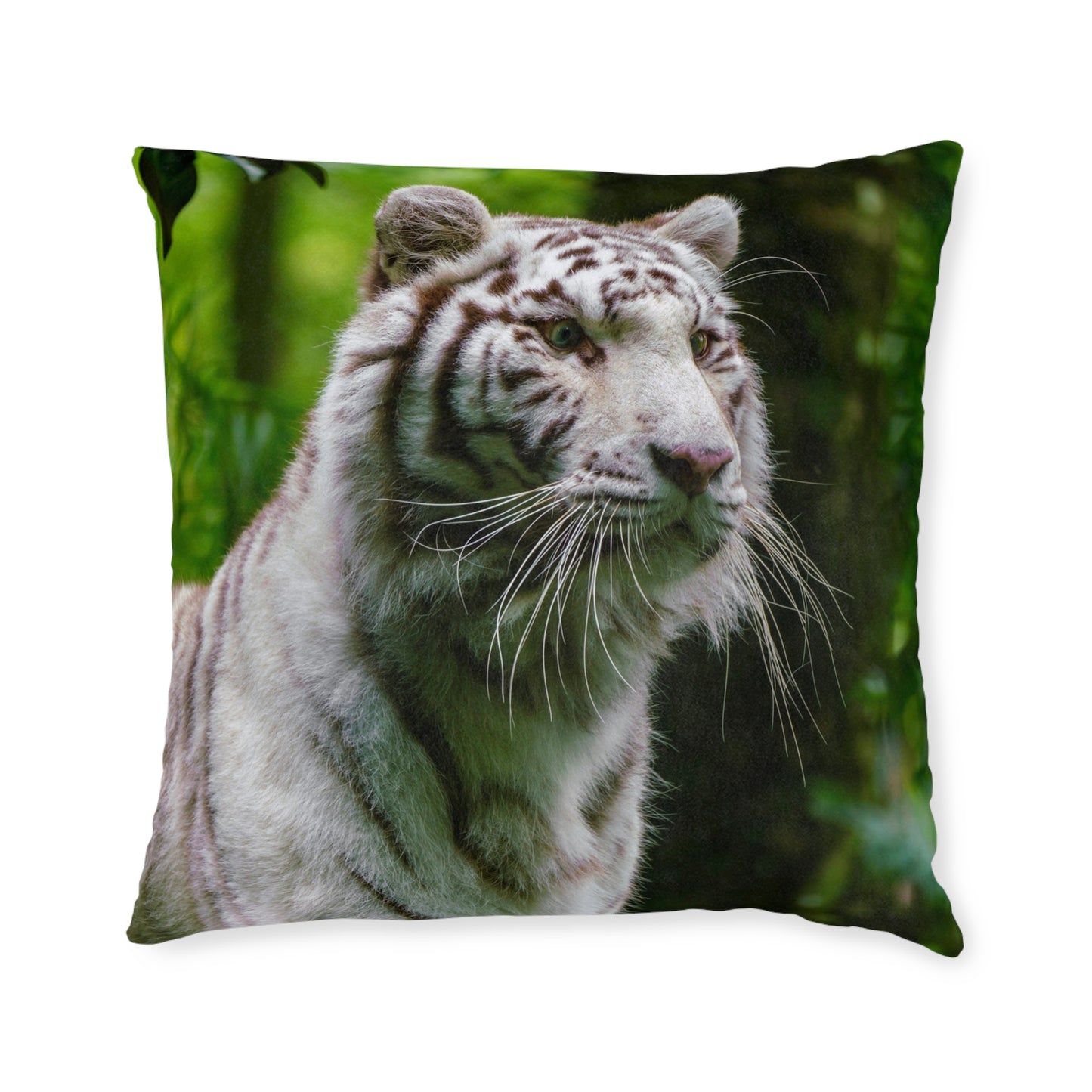 White Tiger