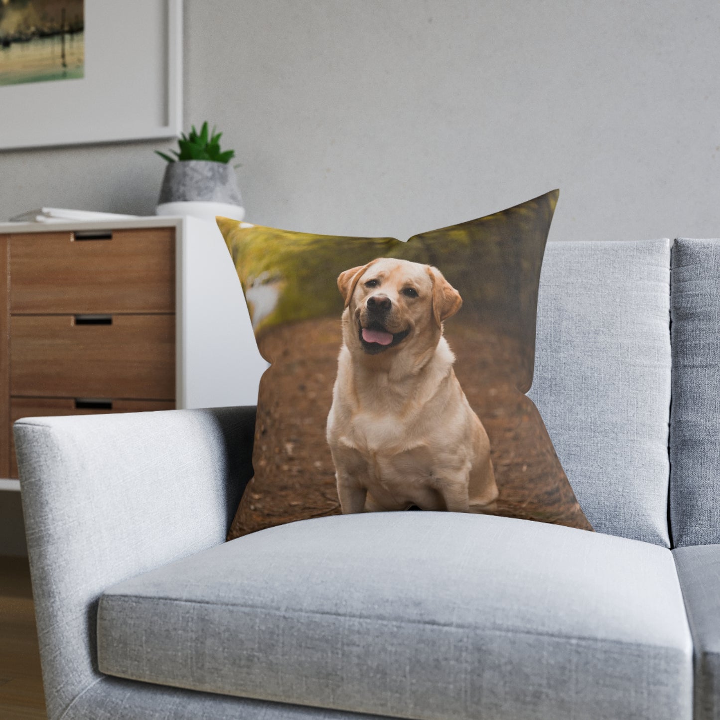 Labrador Retriever Dog
