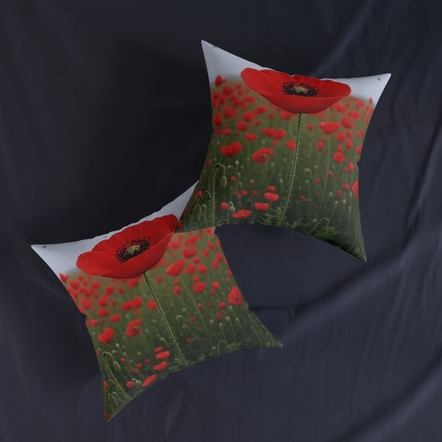 Remembrance Day