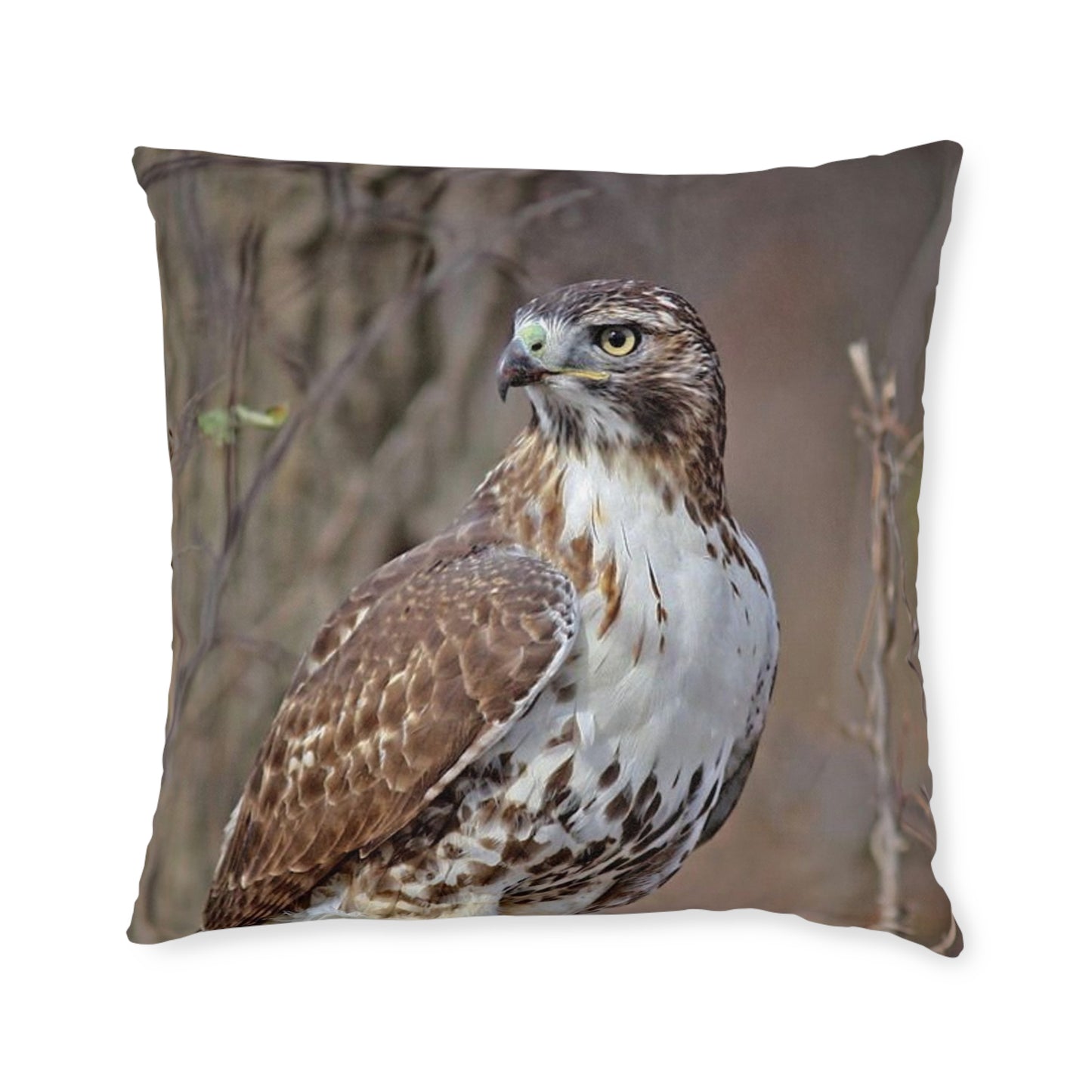 Hawk 2