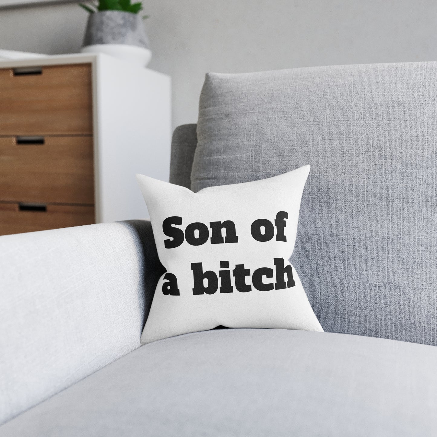 Son of a b*tch