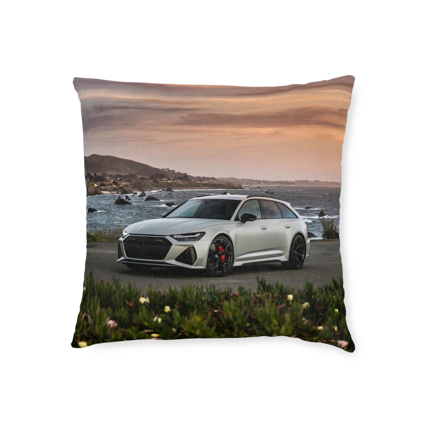 Audi Rs6 Avant