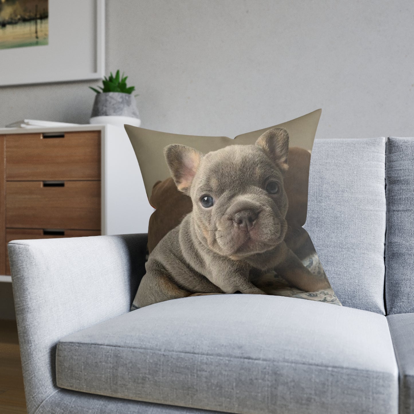 French Bulldog