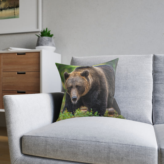 Brown Bear