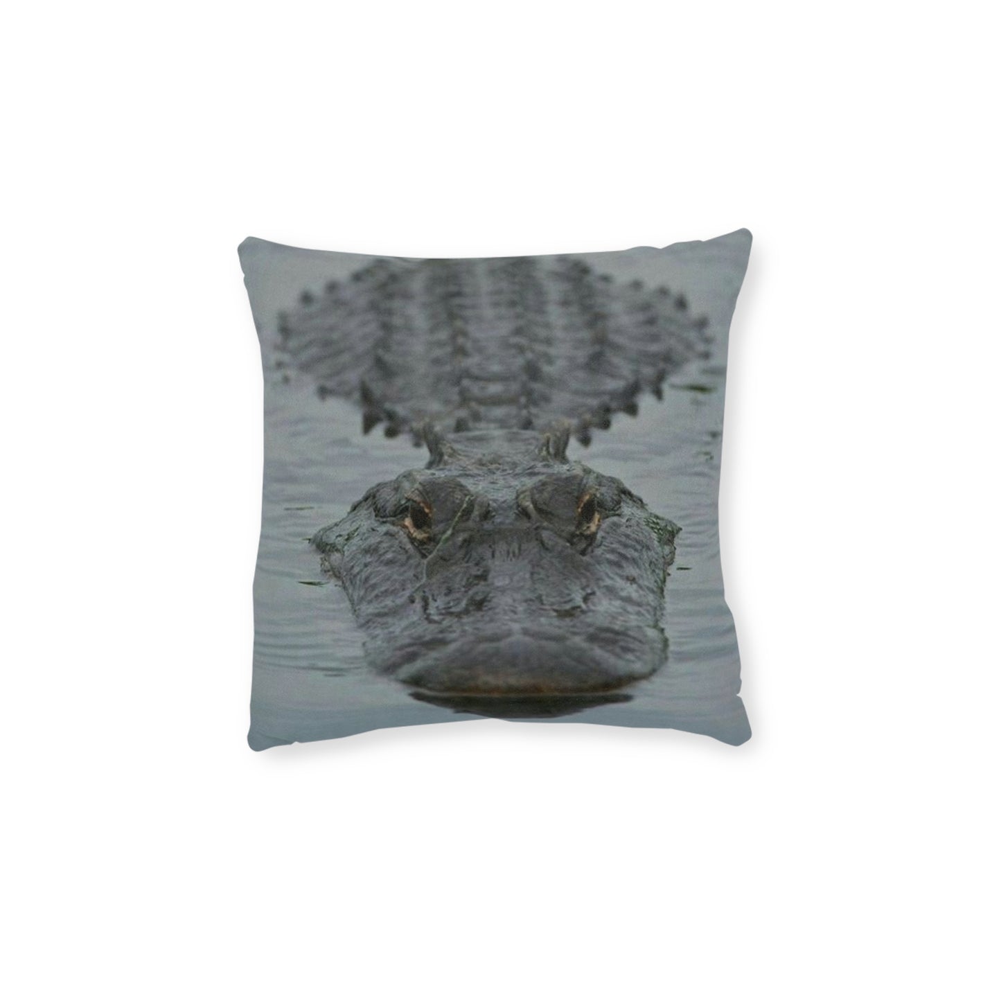 Crocodile 2