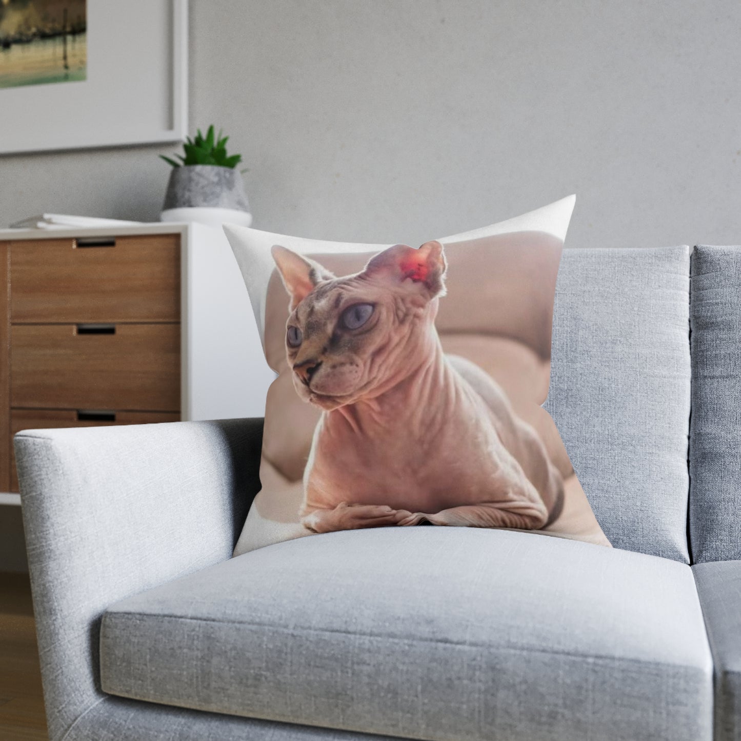 Hairless Cat