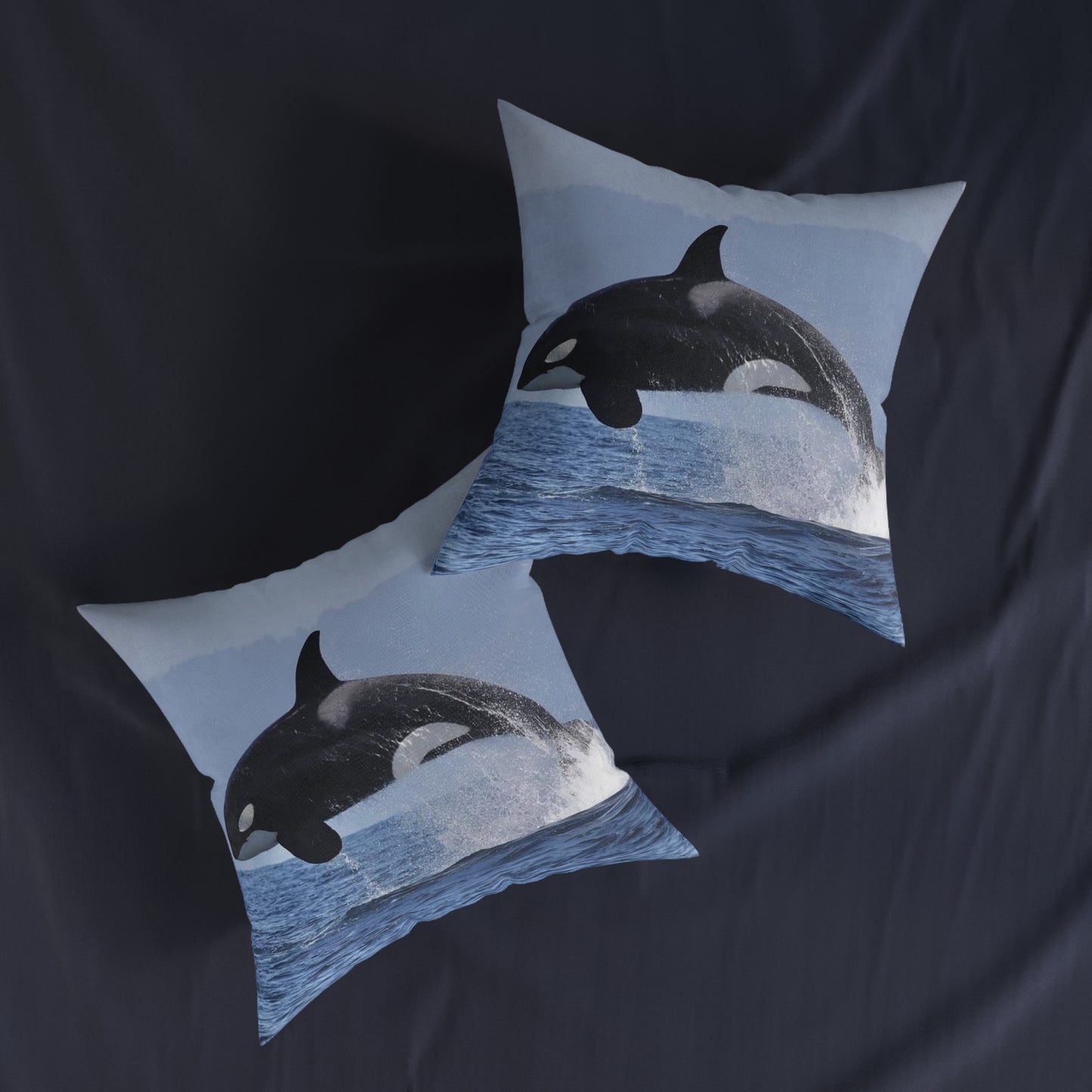 Orca 2
