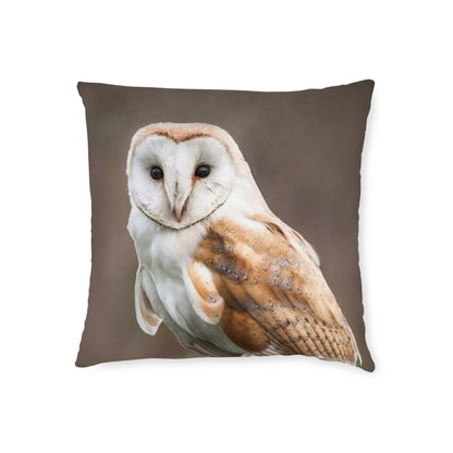 Barn Owl