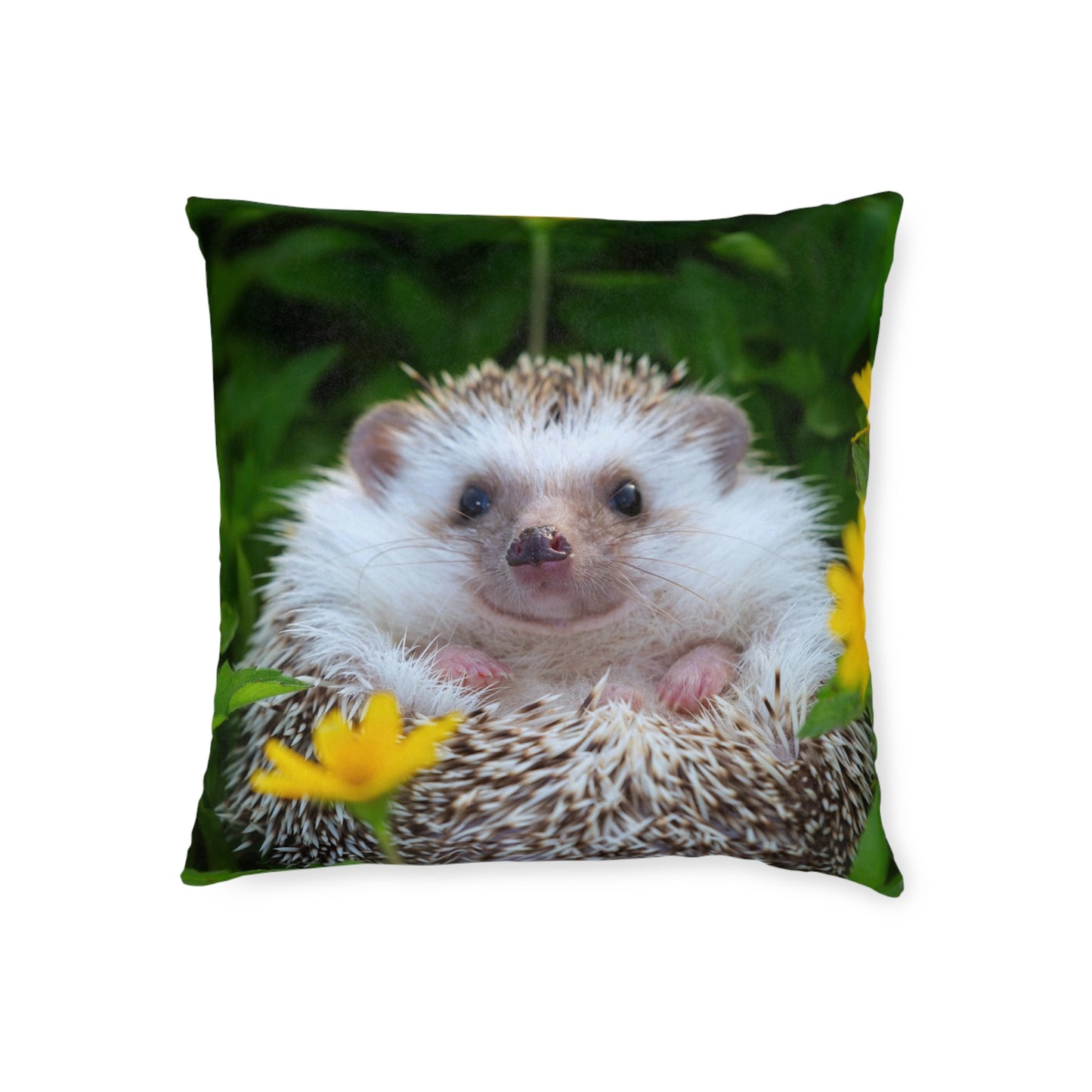 Hedgehog