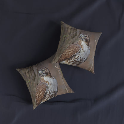 Hawk 2