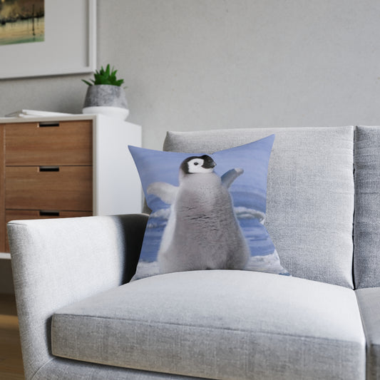 Baby Penguin