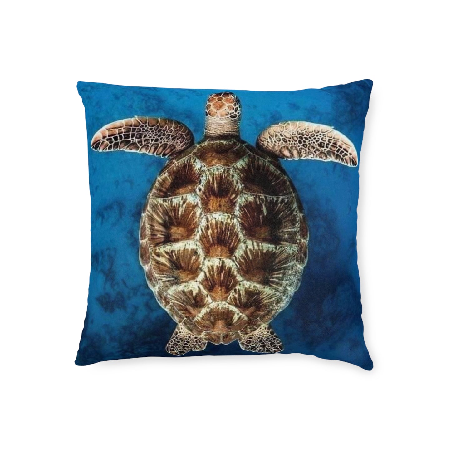 Sea Turtle