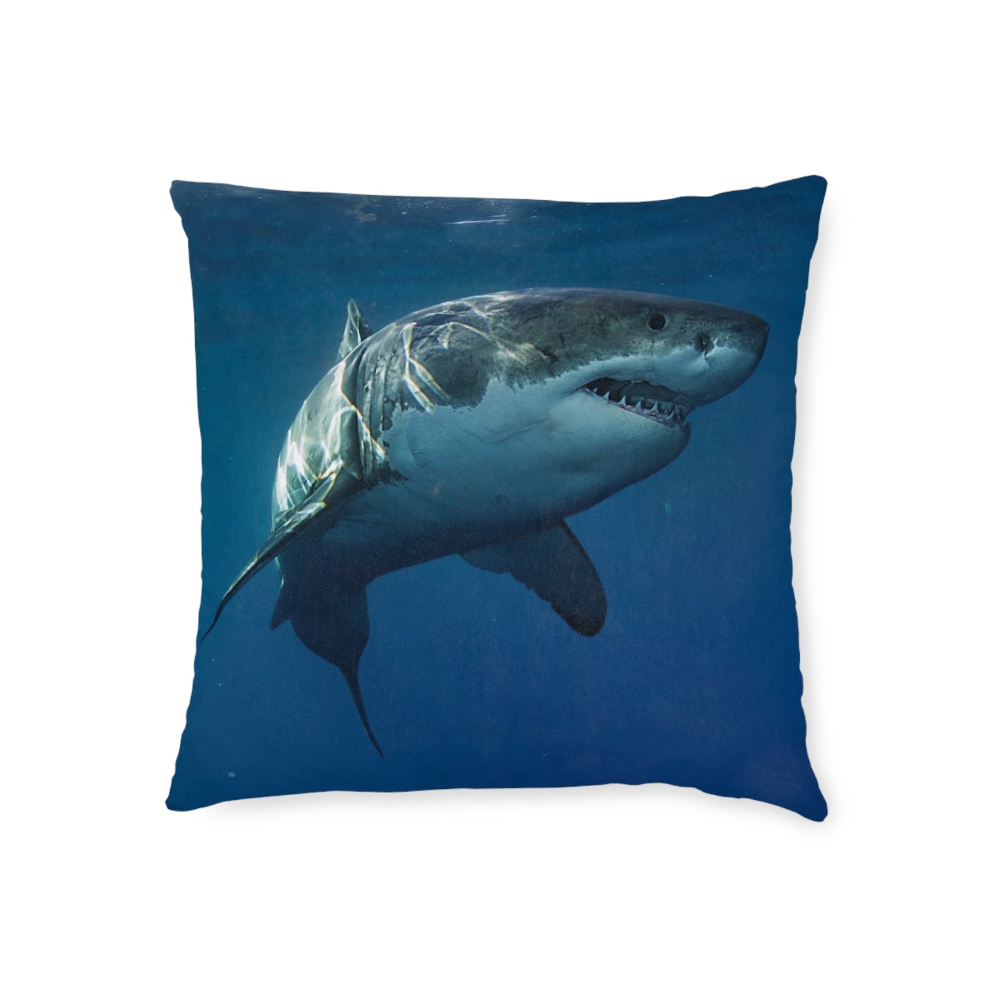 Great White Shark
