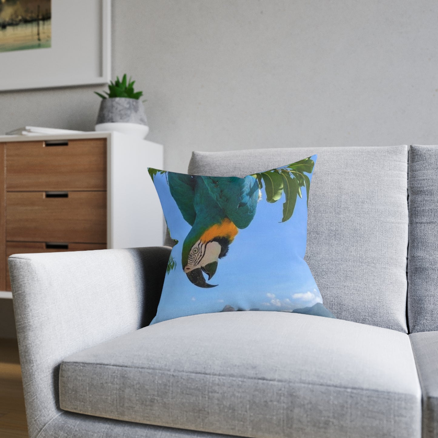 Parrot Blue