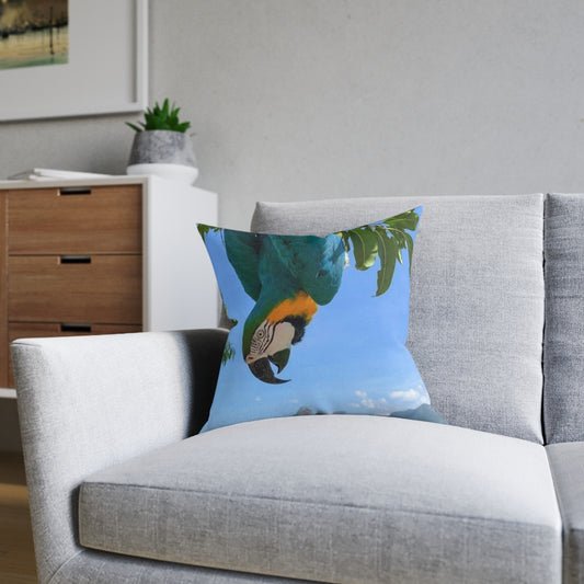 Parrot Blue