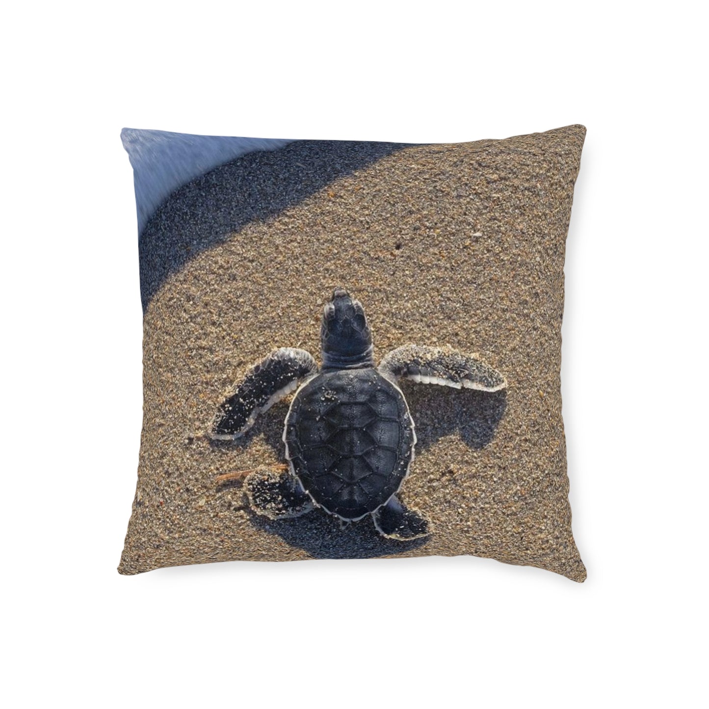 Baby Sea Turtle
