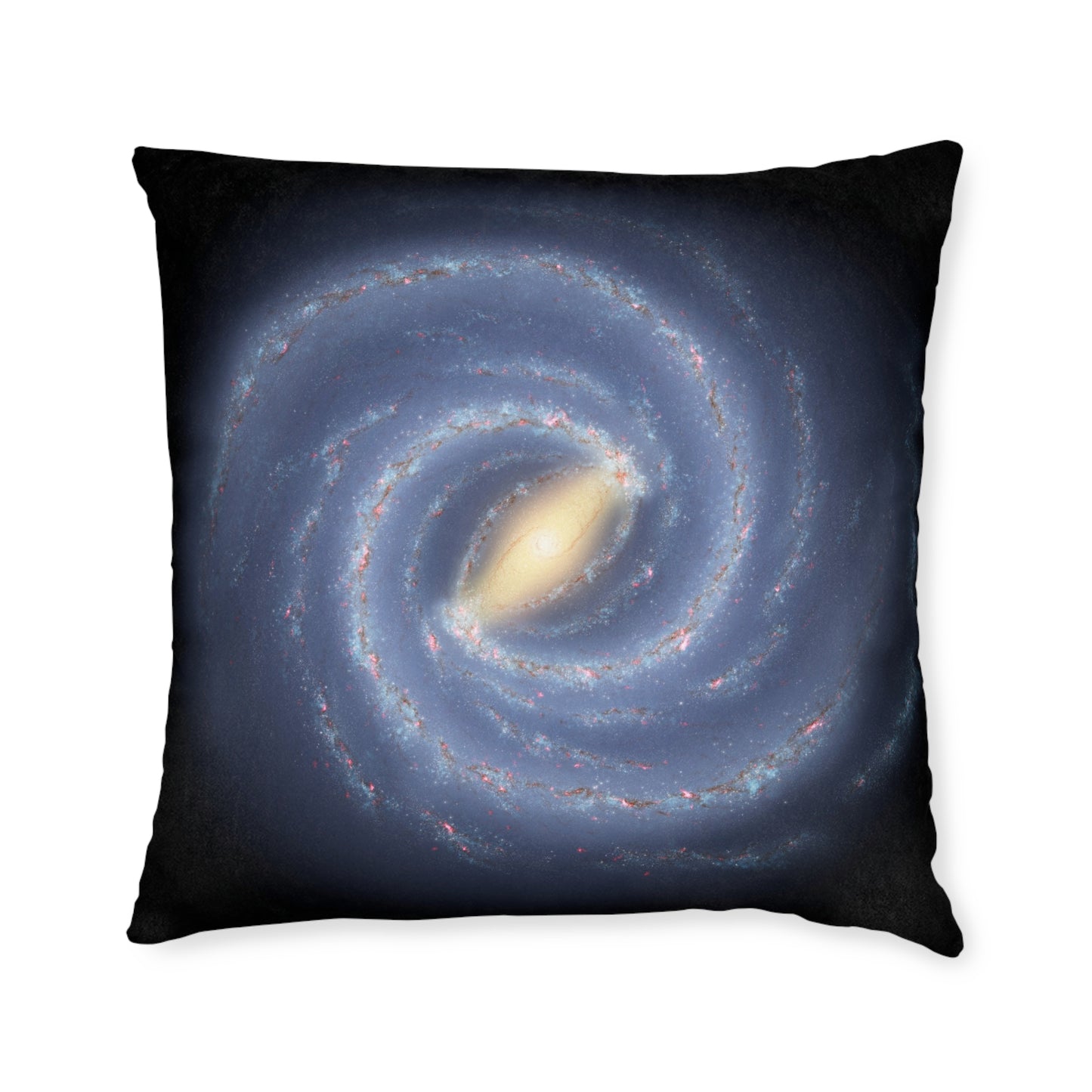 The Milky Way Galaxy