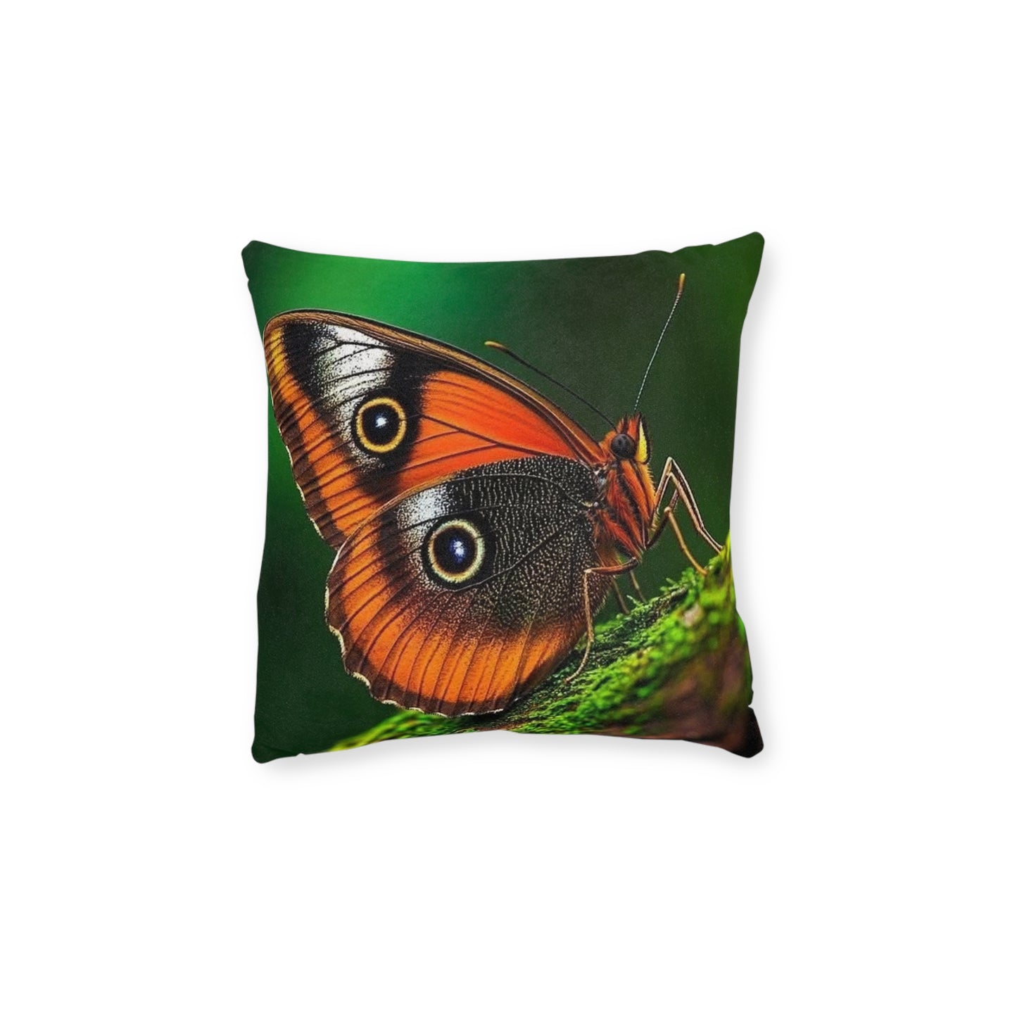 Butterfly Orange