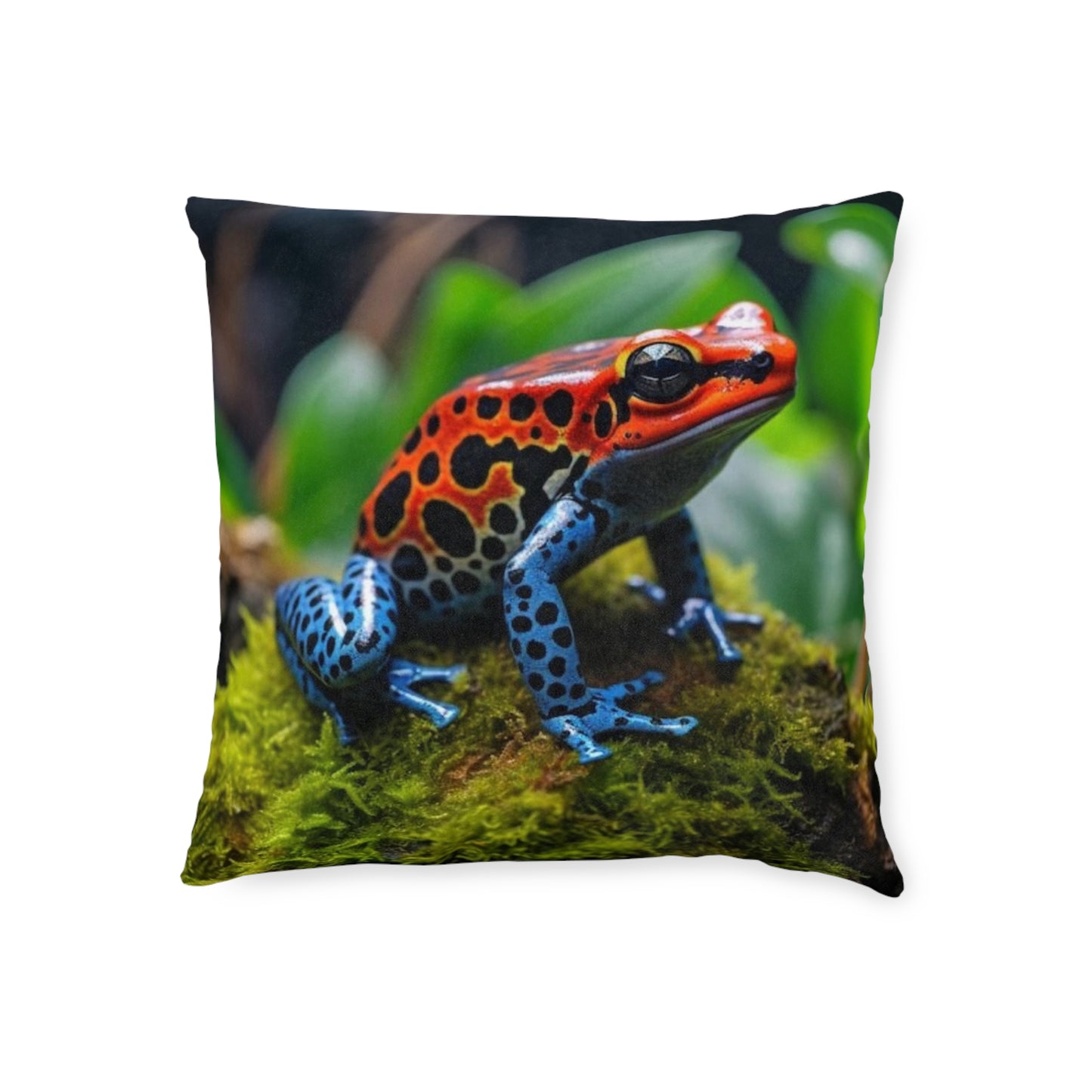 Poison Dart Frog