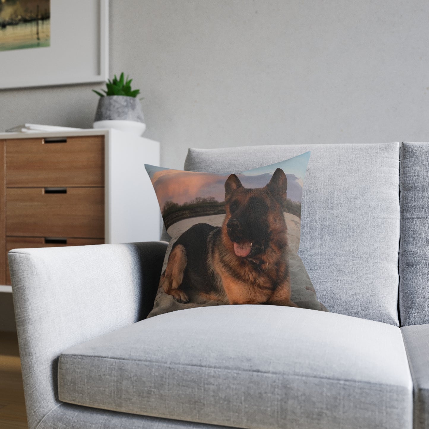 German Shepherd Dog
