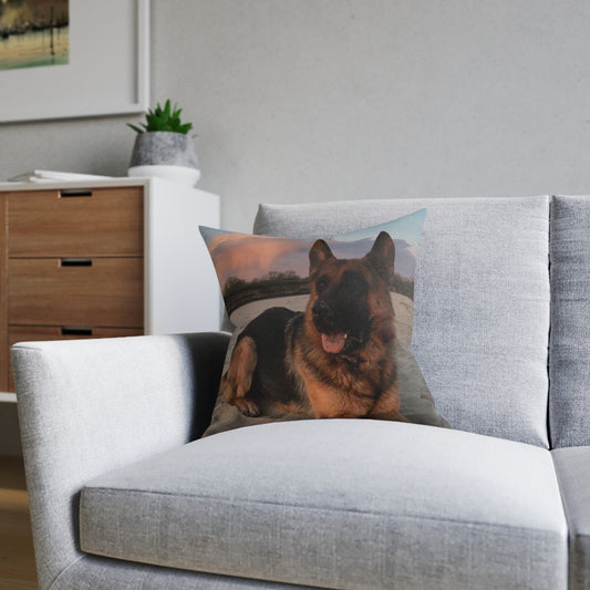 German Shepherd Dog