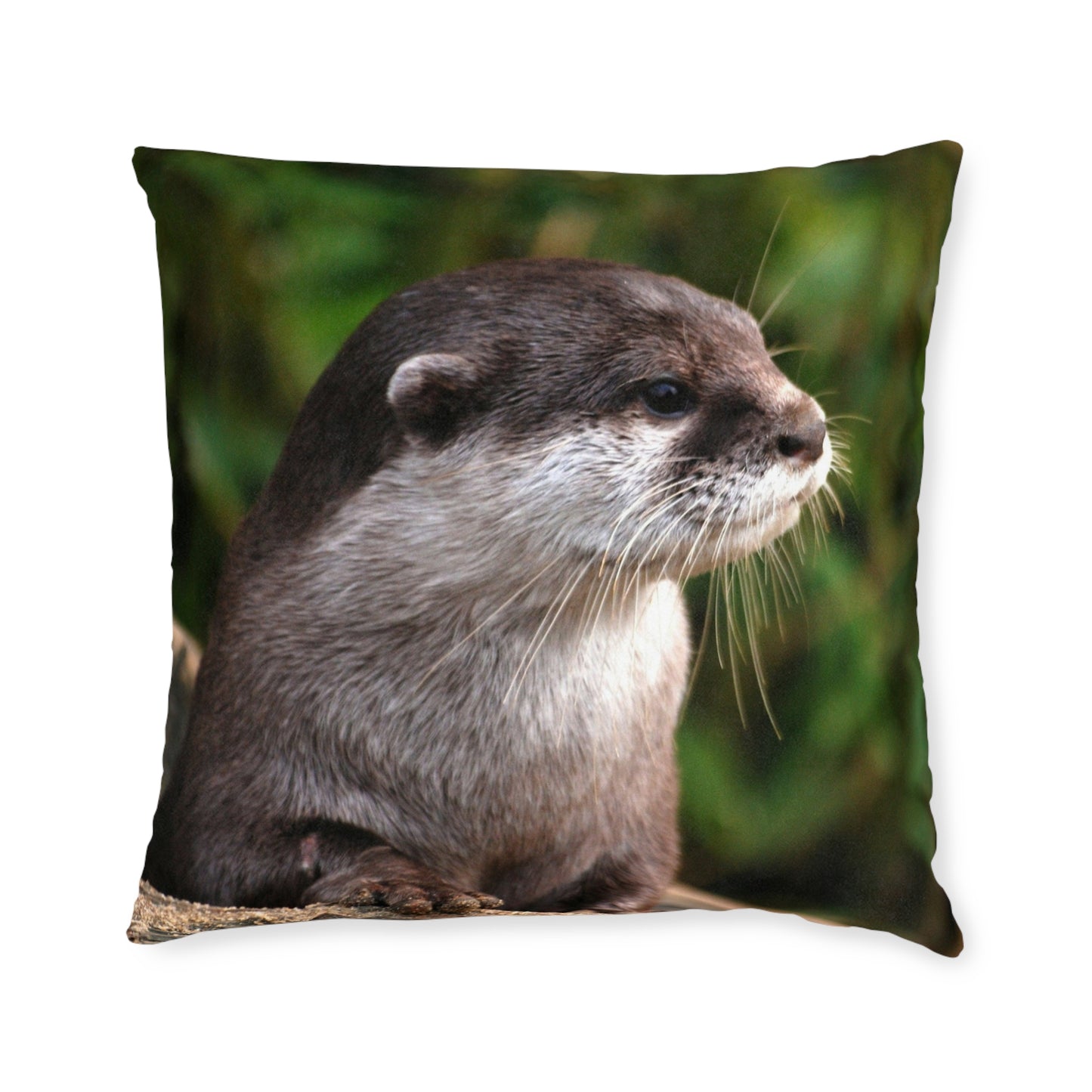 Otter