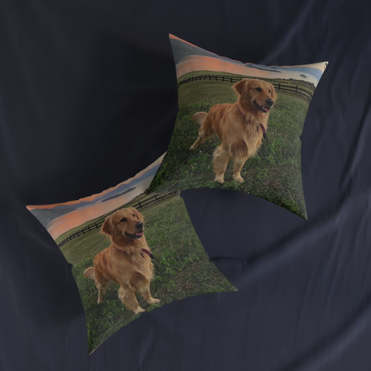 Golden Retriever Dog