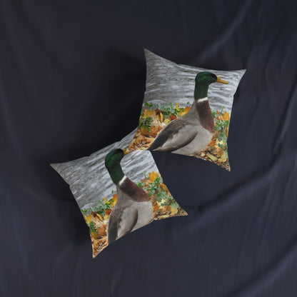 Duck 2