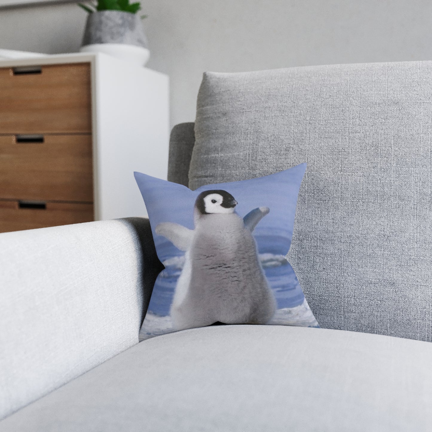 Baby Penguin