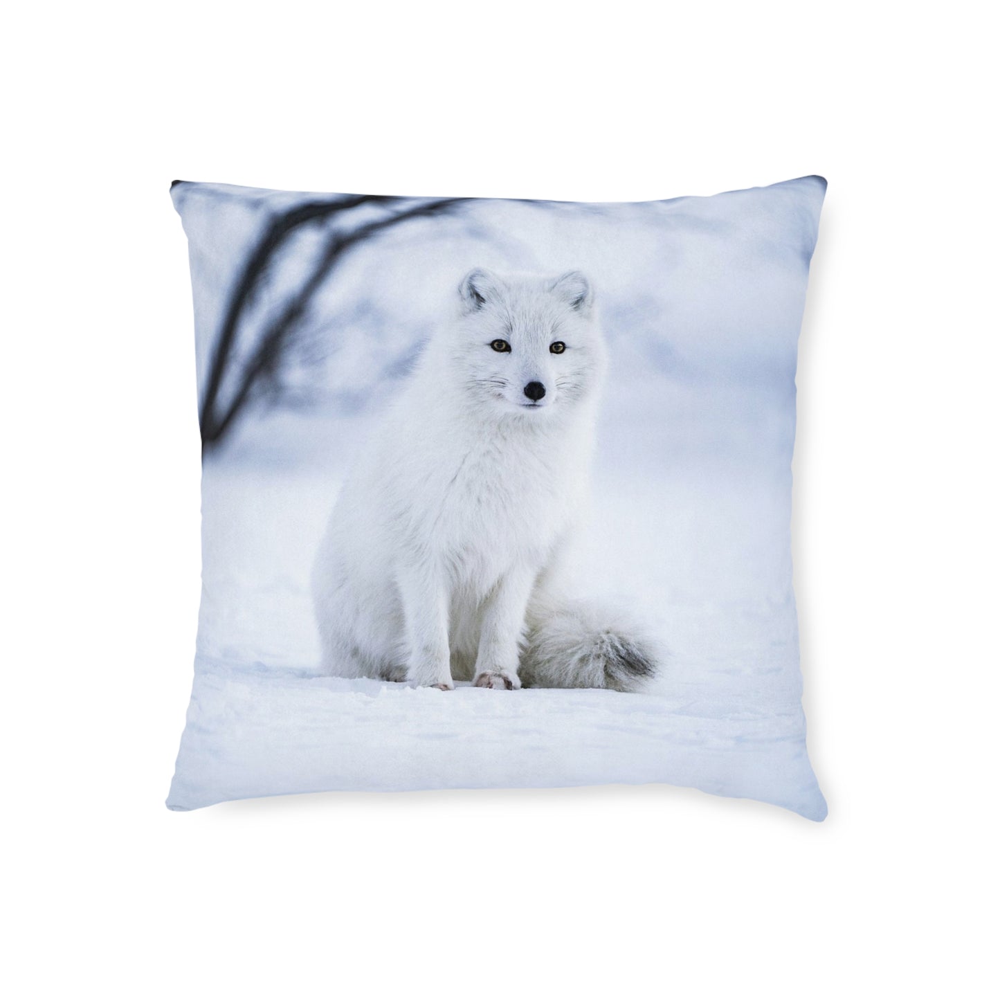 Snow Fox