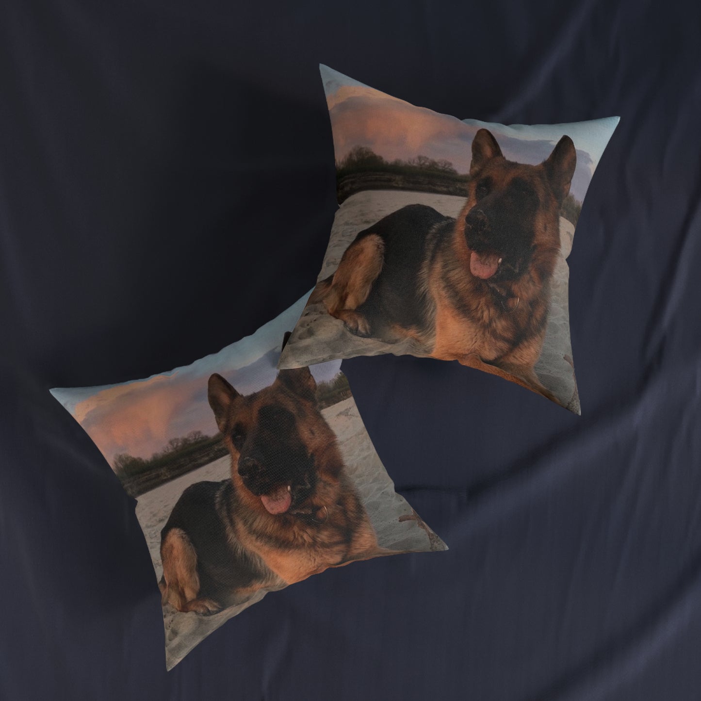 German Shepherd Dog
