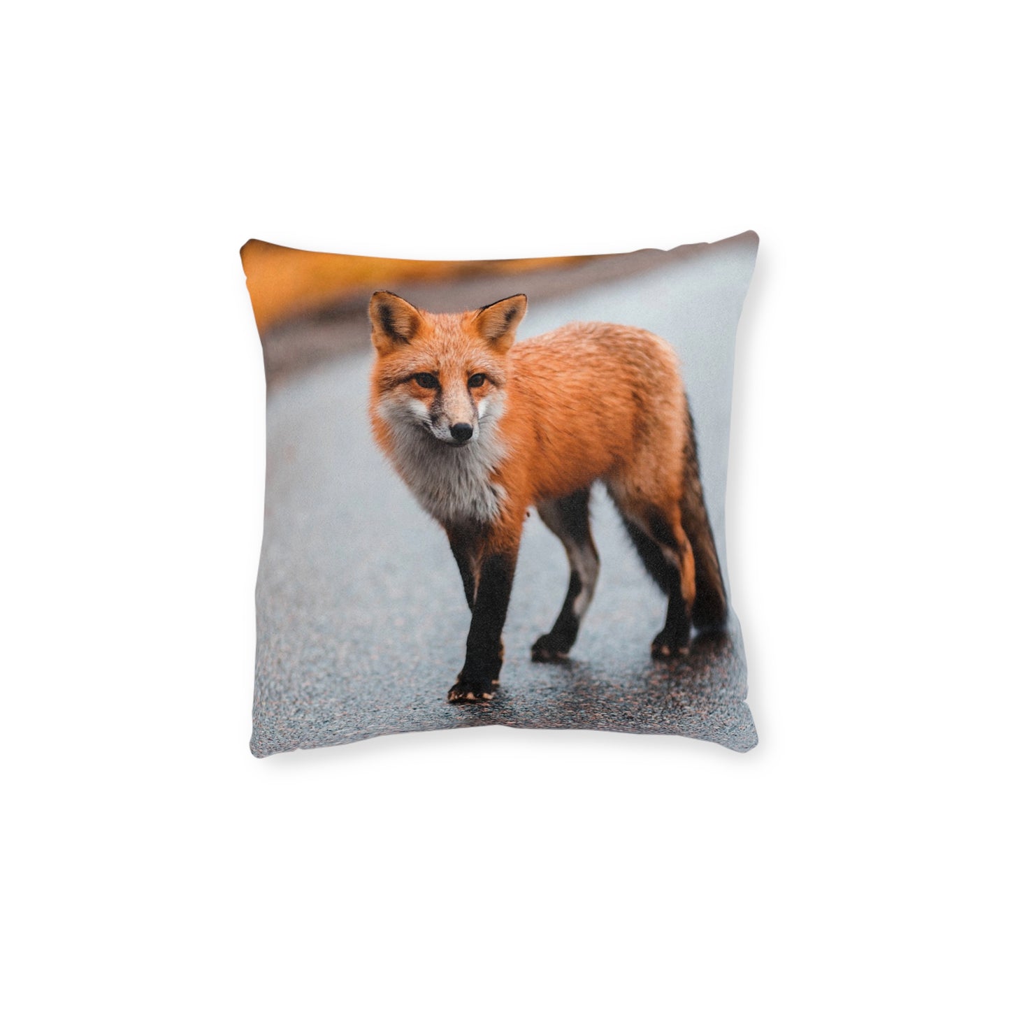 Fox