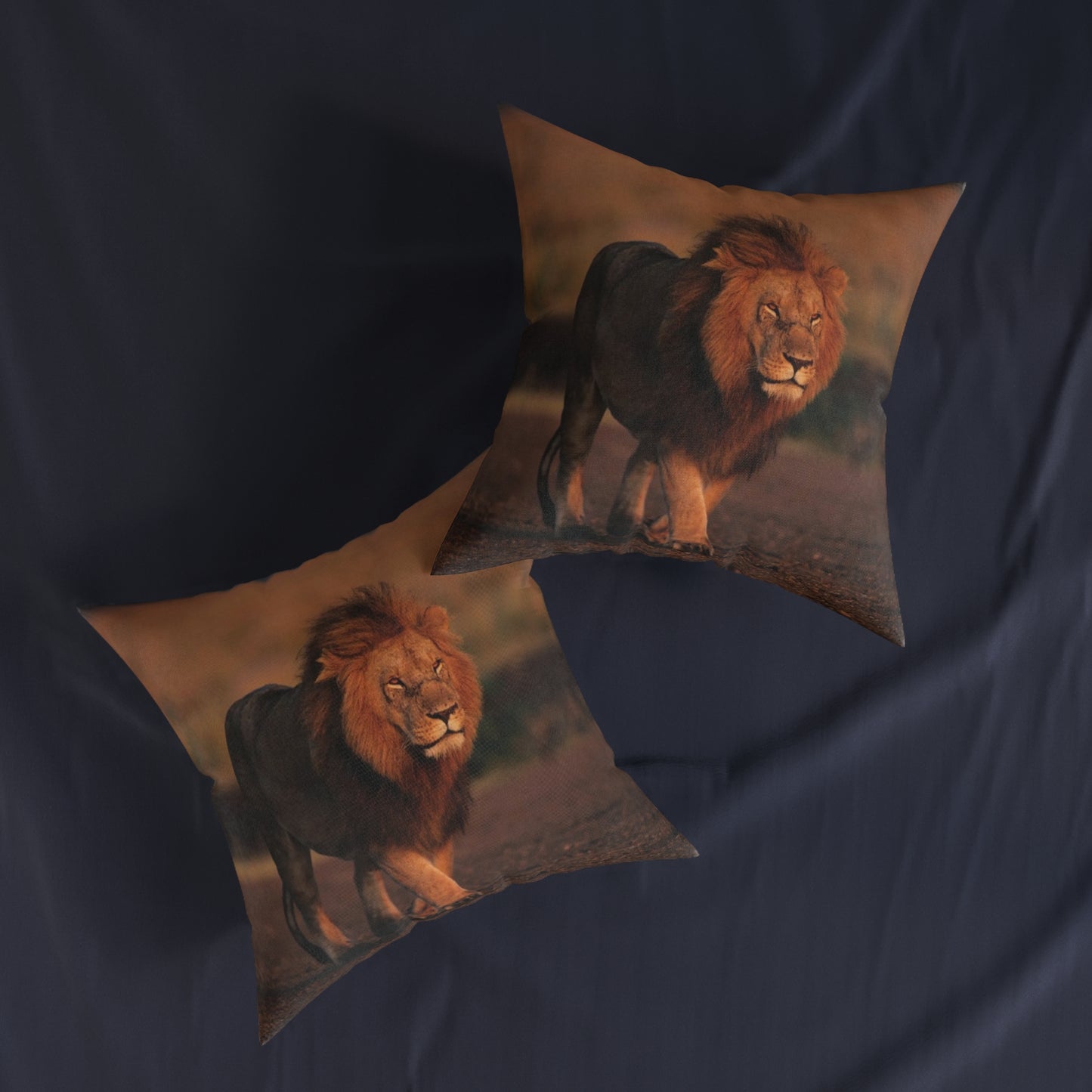 Lion Male